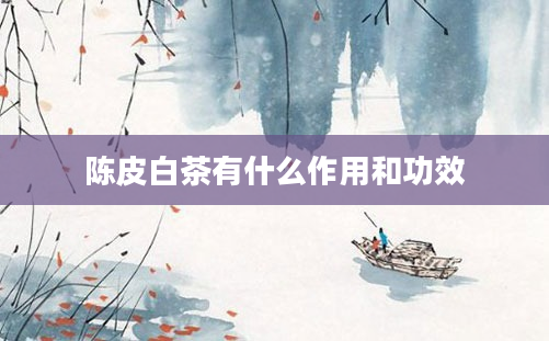 2陈皮白茶有什么作用和功效