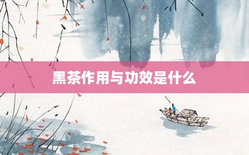 2黑茶作用与功效是什么
