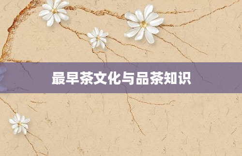 最早茶文化与品茶知识