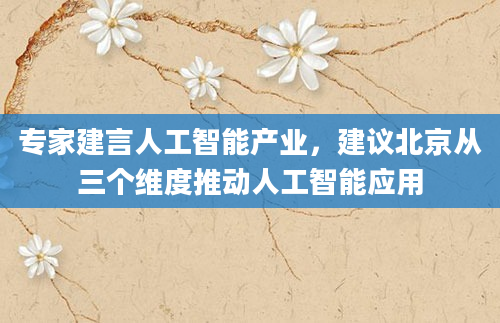 专家建言人工智能产业，建议北京从三个维度推动人工智能应用