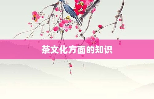 茶文化方面的知识