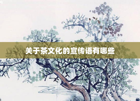 关于茶文化的宣传语有哪些