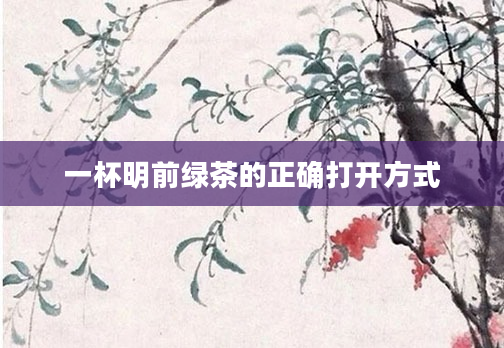 一杯明前绿茶的正确打开方式