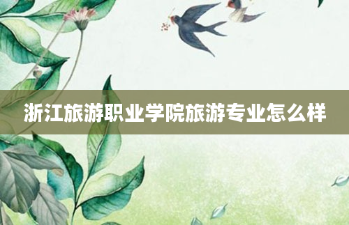 浙江旅游职业学院旅游专业怎么样