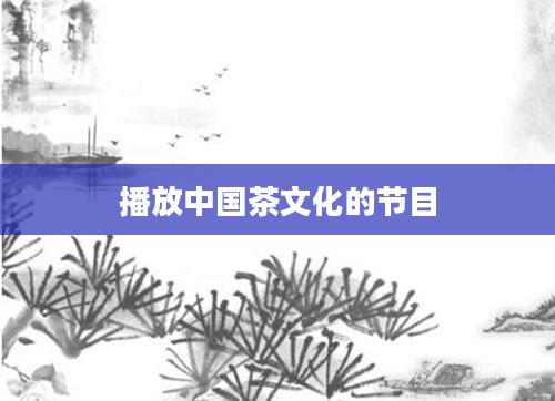 播放中国茶文化的节目