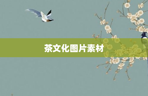 茶文化图片素材