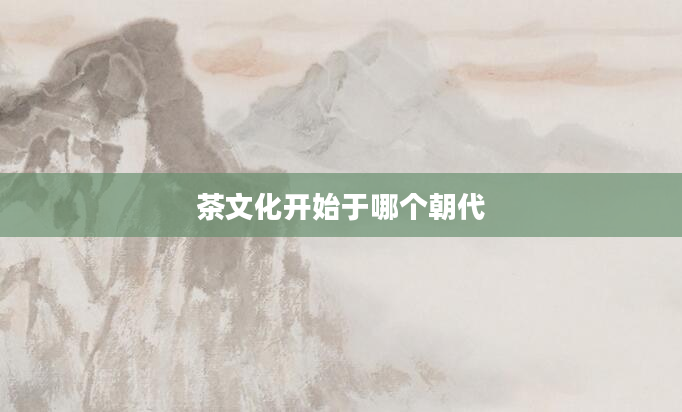 茶文化开始于哪个朝代