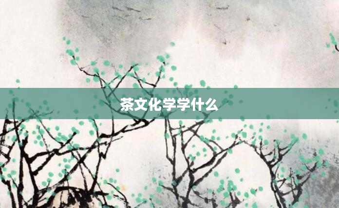 茶文化学学什么