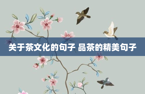 关于茶文化的句子 品茶的精美句子