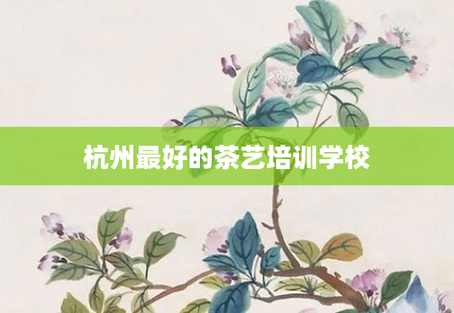 杭州最好的茶艺培训学校