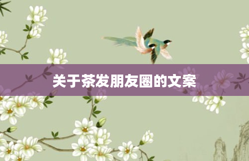 关于茶发朋友圈的文案