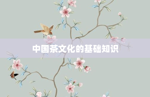 中国茶文化的基础知识