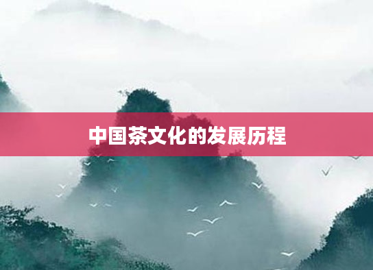 中国茶文化的发展历程