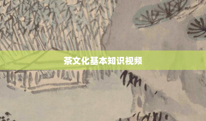 茶文化基本知识视频