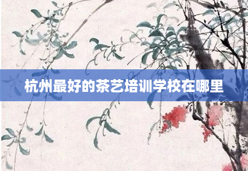 杭州最好的茶艺培训学校在哪里