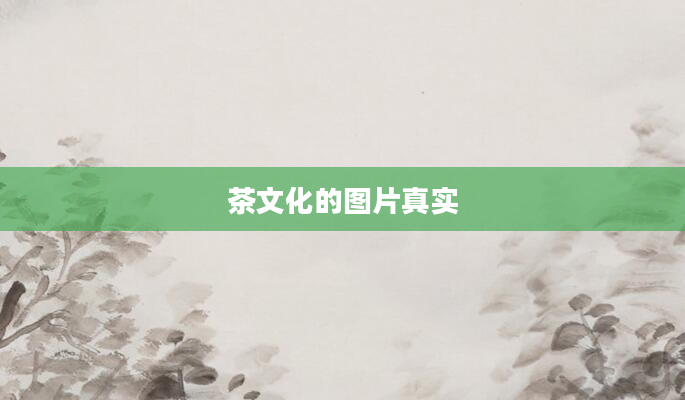 茶文化的图片真实