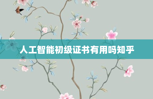 人工智能初级证书有用吗知乎