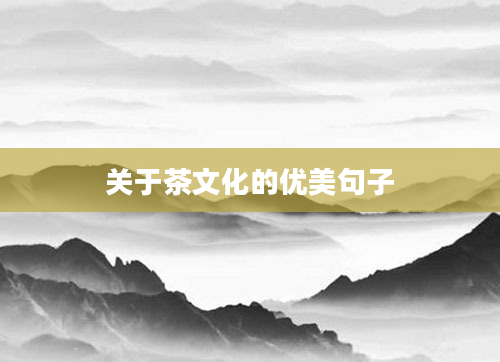 关于茶文化的优美句子