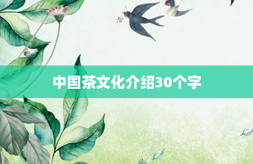 中国茶文化介绍30个字