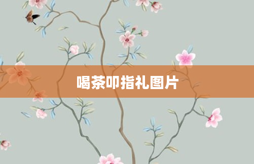 喝茶叩指礼图片