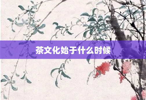 茶文化始于什么时候