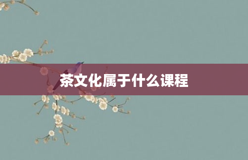 茶文化属于什么课程