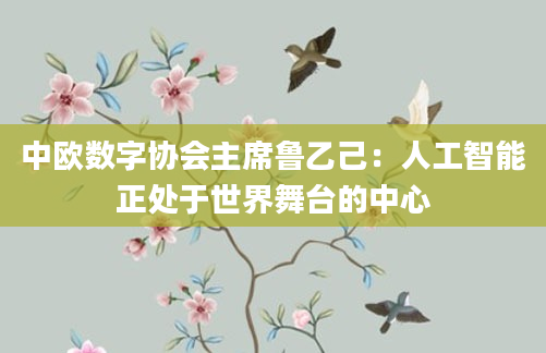 中欧数字协会主席鲁乙己：人工智能正处于世界舞台的中心