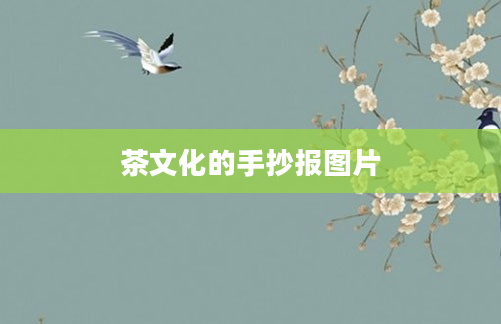 茶文化的手抄报图片
