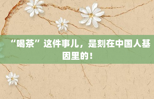 “喝茶”这件事儿，是刻在中国人基因里的！