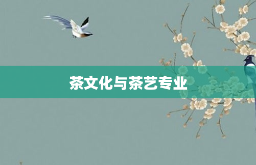 茶文化与茶艺专业