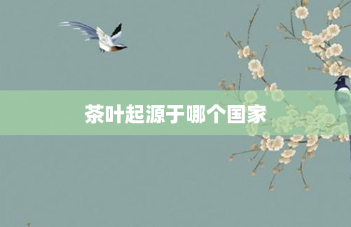 茶叶起源于哪个国家