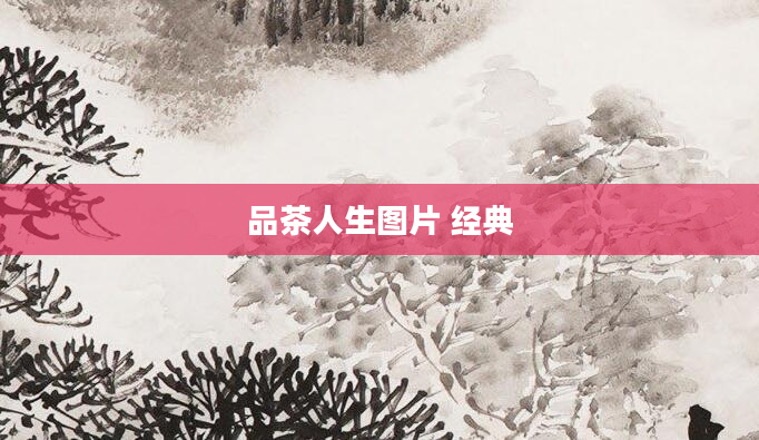 品茶人生图片 经典