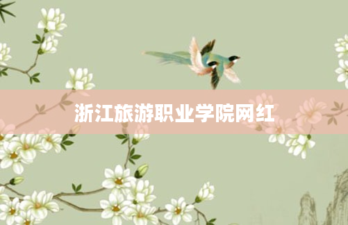 浙江旅游职业学院网红