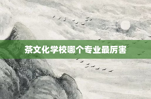 茶文化学校哪个专业最厉害