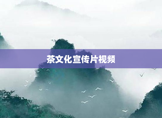 茶文化宣传片视频