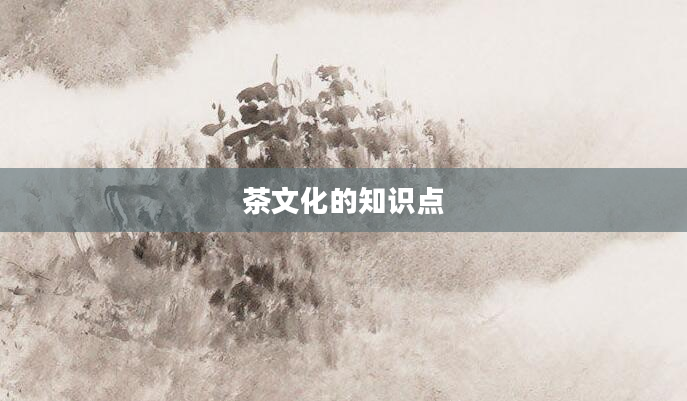 茶文化的知识点