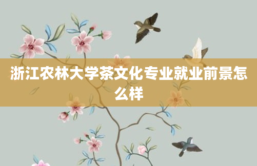 浙江农林大学茶文化专业就业前景怎么样
