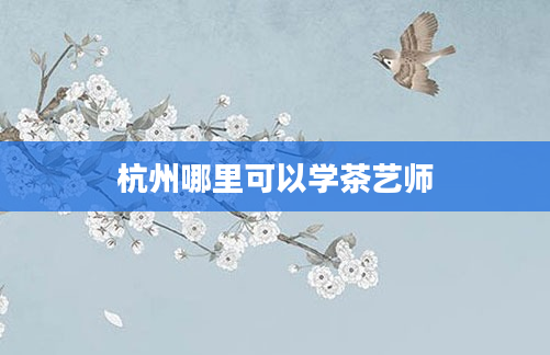 杭州哪里可以学茶艺师