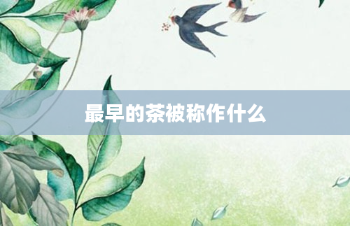 最早的茶被称作什么