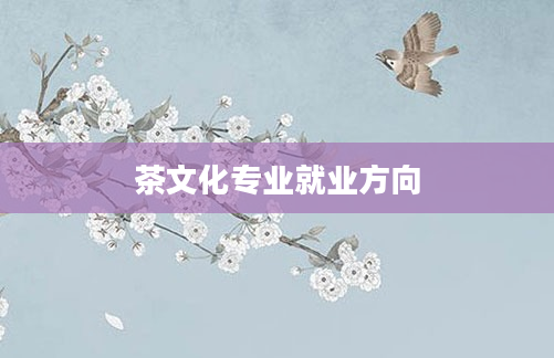 茶文化专业就业方向