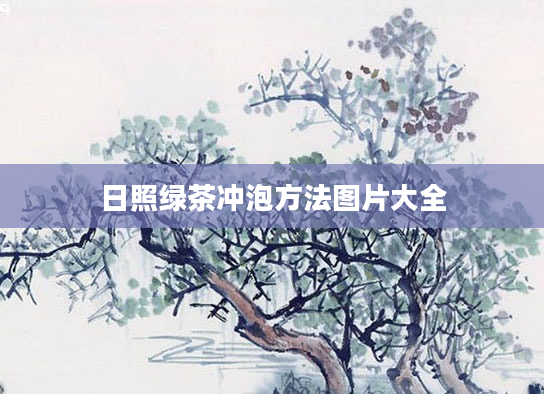 日照绿茶冲泡方法图片大全
