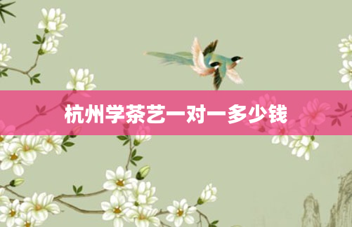 杭州学茶艺一对一多少钱