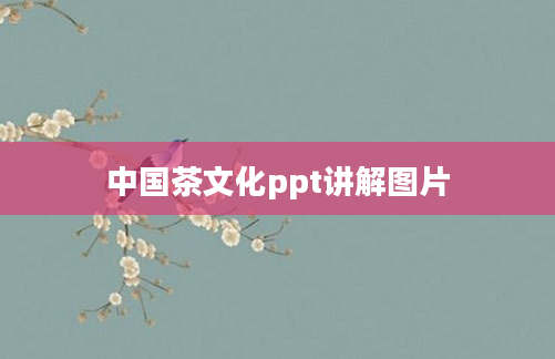 中国茶文化ppt讲解图片