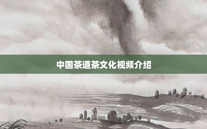 中国茶道茶文化视频介绍