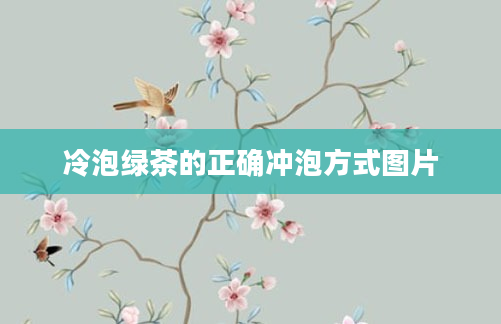 冷泡绿茶的正确冲泡方式图片