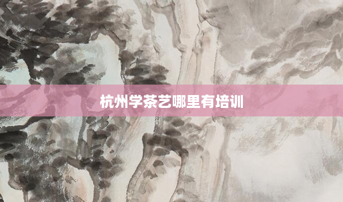 杭州学茶艺哪里有培训