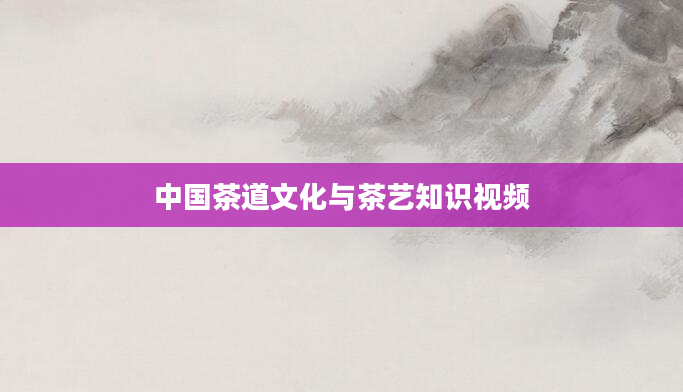 中国茶道文化与茶艺知识视频