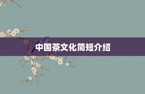 中国茶文化简短介绍
