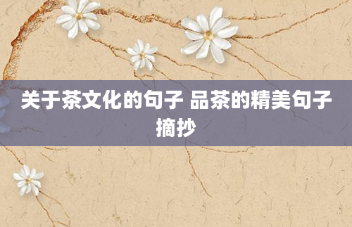 关于茶文化的句子 品茶的精美句子摘抄