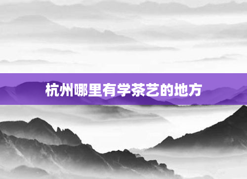 杭州哪里有学茶艺的地方